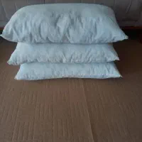 بالش