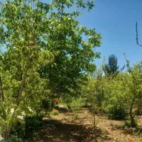 فروش-باغشهرپردیس-1چهارموردالین