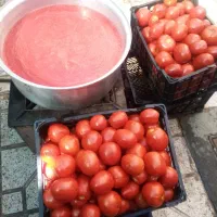 رب خانگی