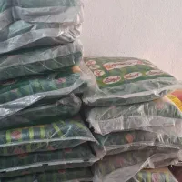 برنج طبیعت برنج خاطره