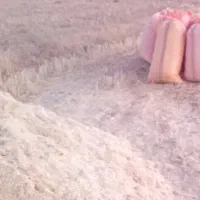 کاه جو درجه یک ریز