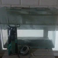 اکواریوم شیشه خم