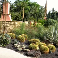 باغبان مجرب