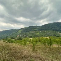 فروش زمین کشاورزی تا ۳۰۰۰متر