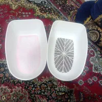 وان حیوانات خانگی
