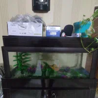 آکواریوم وکمد جادار