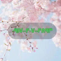 سیم همراه اول کد ۲ شیراز