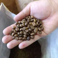 طعم خوش
