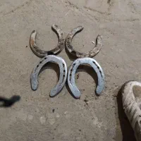 نعل‌کارکرده‌‌به‌تعداد