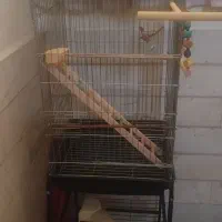 قفس پرنده