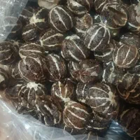 لیمو توپی