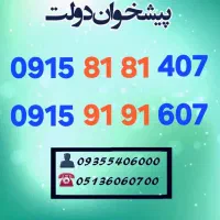 0915.81.81.407