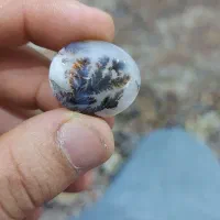 سنگ شجر قائن نوشته علی
