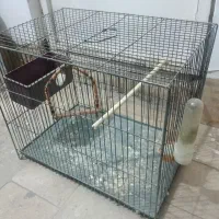 قفس پرنده