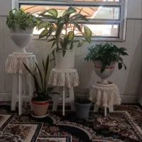 گل و گلدون پایه گلدون
