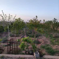فروش-باغچه-آینده-دار-به-دلیل-نیاز-مالی