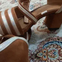 کفش مجلسی