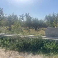 باغچه500-متری