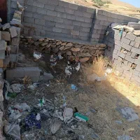 حیوانات مزرعه