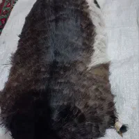 خیگ روغن