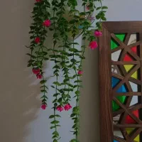 شمشاد وگل اویز کیفیت بالا  برای دکور مغازه و کافه