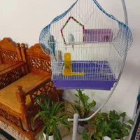 پرنده وقفس وپایه