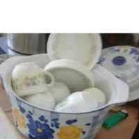 ظروف گل سرخی.و پنبه