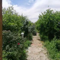 باغ-1500-متری-با-استخر-و-مرکبات-ایذه