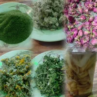 گل با بونه