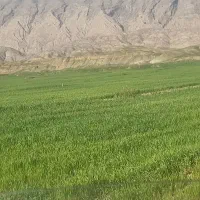 استخدام آبیار کشاورزی
