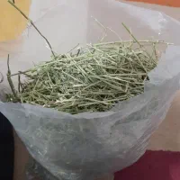 یونجه