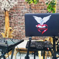 دیجی(dj) خانم همراه با نور پردازی و بخار حرفه ایی