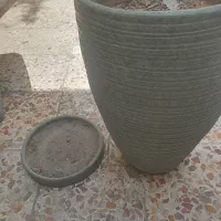 گلدان|گل و گیاه طبیعی|تهران, بیسیم|دیوار