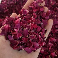 برگ گل محمدی خشک شده