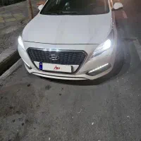 سفید صدفی هیبرید ۲۰۱۷
