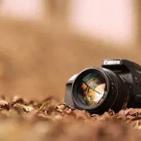 نیازمند مدل