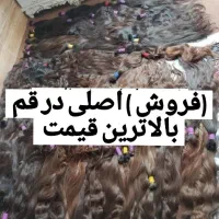 مو طبیعی اصلی بزرگترین مرکز شعبه فروش مو