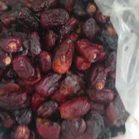 خرمای ضایعاتی