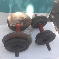 دمبل