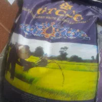 برنج جی تی سی