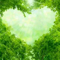 موسسه خیلی سبز مرند
