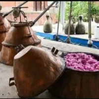 گلاب دو آتشه سنتی