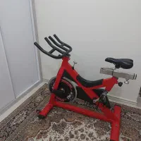 دوچرخه ثابت