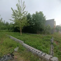 زمین ۲۵۰ متری /شهرکی / برای کلبه سوئیسی / زیباکنار