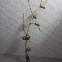 پایه پرنده