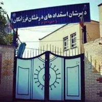 مشاور تحصیلی و برنامه ریزی تیزهوشان و درسی