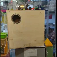 لانه گرینچیک
