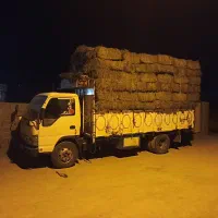 یونجه پرس و خورد شده