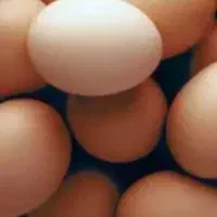 تخم مرغ محلی تازه