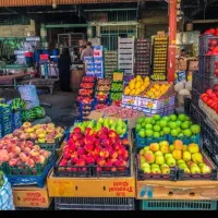میوه سرای کاشان آن لاین برای اولین بار